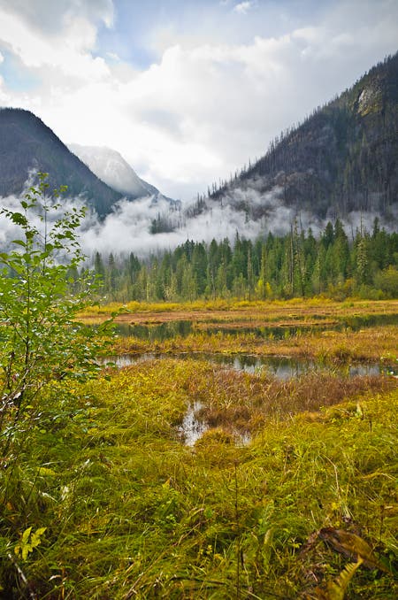 Big Beaver Creek Valley None