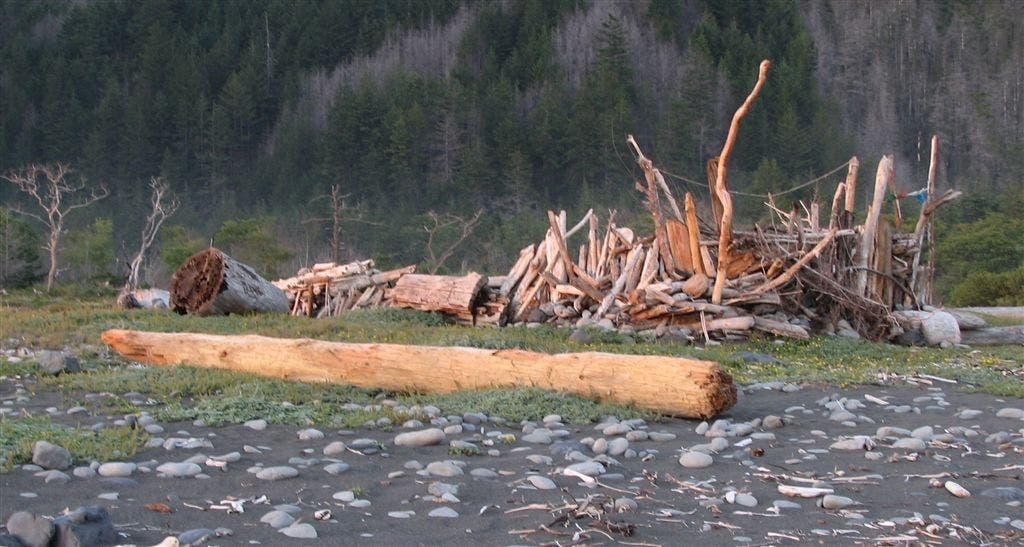 Big Flat Driftwood Shelter None