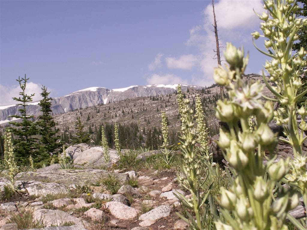 Big Horn Mountains None