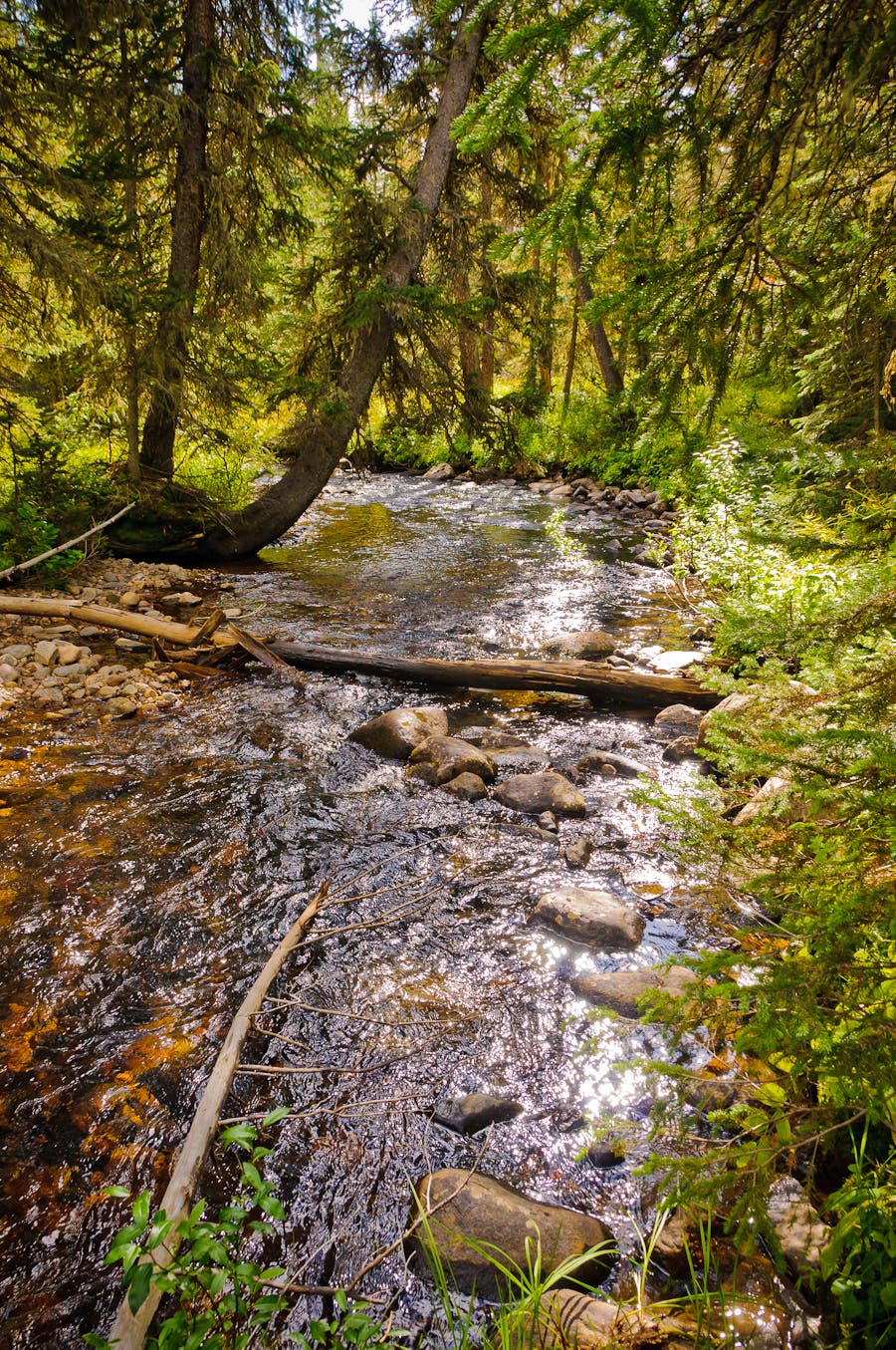 Big Thompson River None