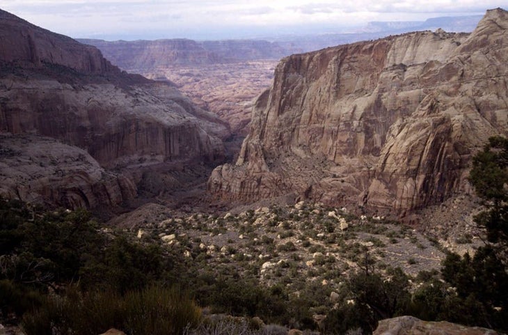 Big Views None