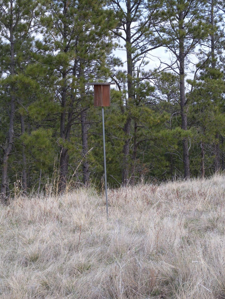 Bird House None