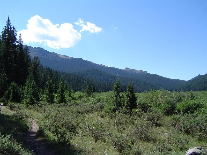 Bison Peak and Bison Arm None