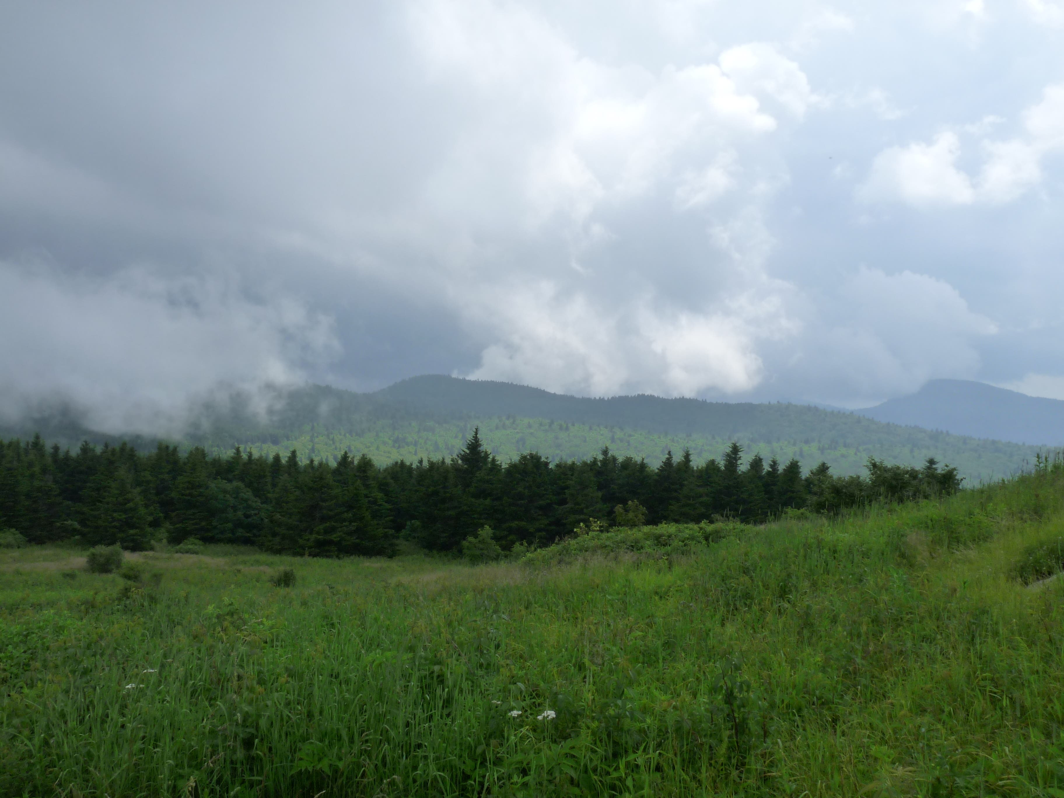 Black Balsam Knob, Asheville, NC The views from Black Balsam Knob shrouded in fog.