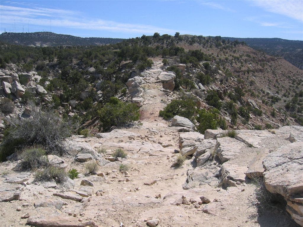 Black Ridge Trail None