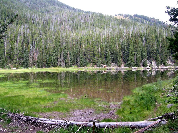 Blackmore Lake None