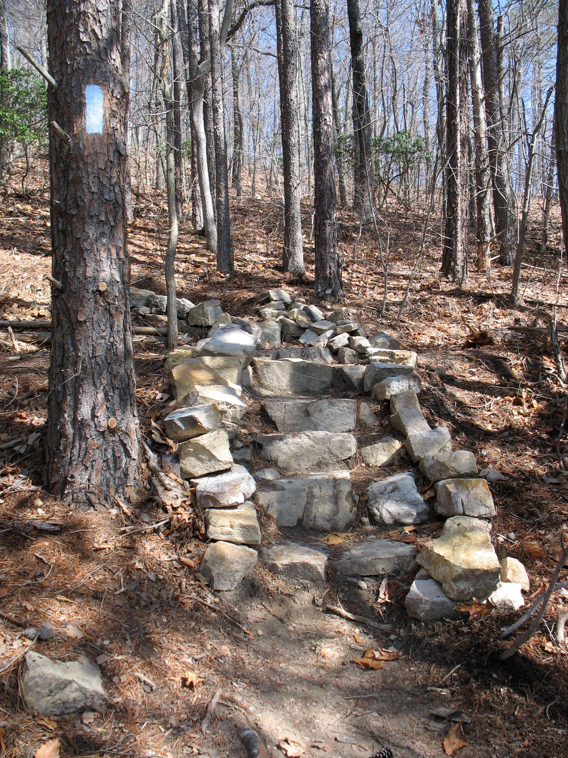 Blue Blaze and Stone Steps None