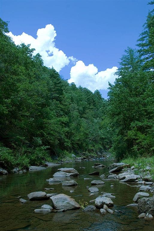 Blue skies on the river None