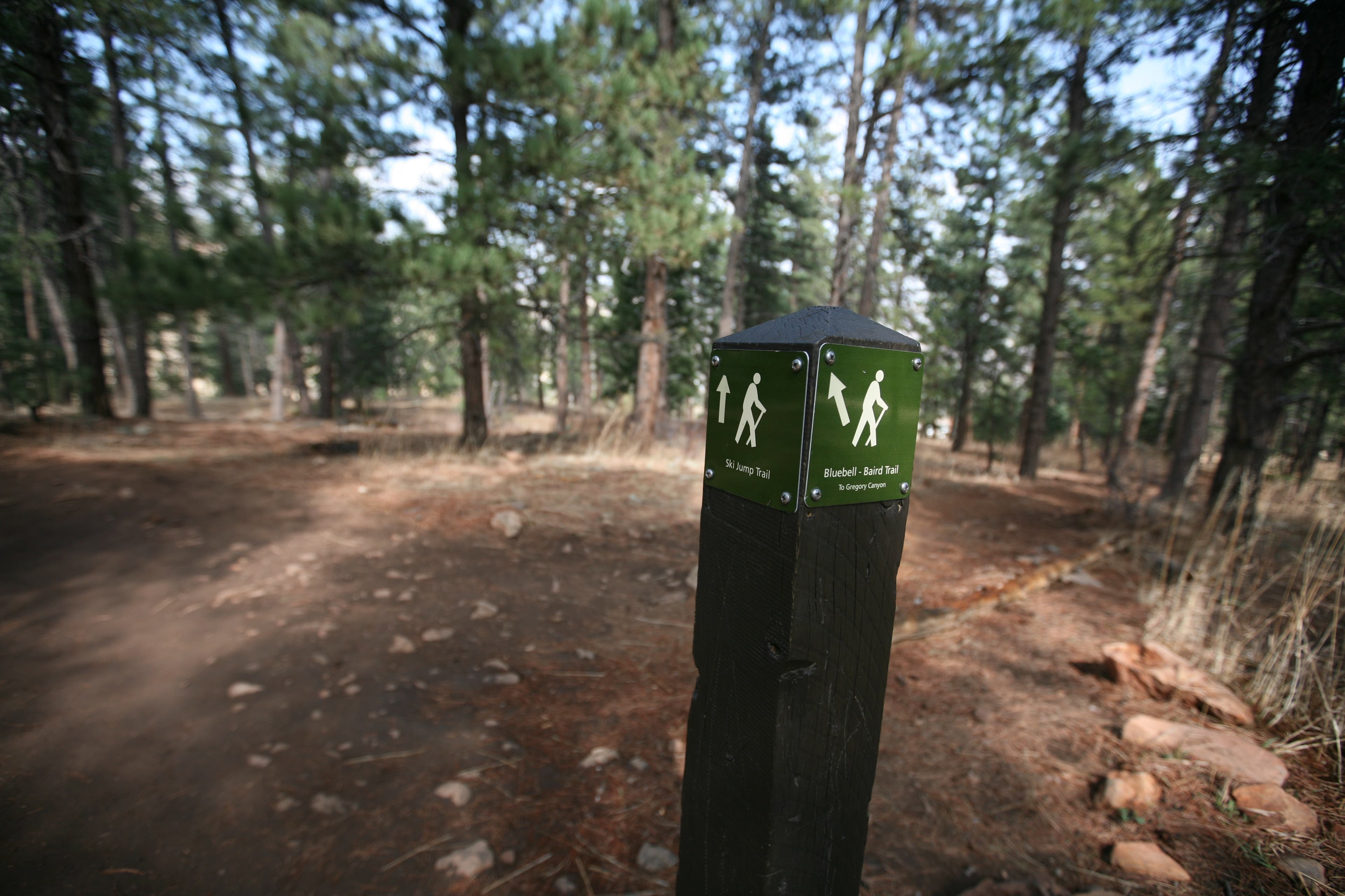 Bluebell-Baird trail/Ski Jump trail Junction None