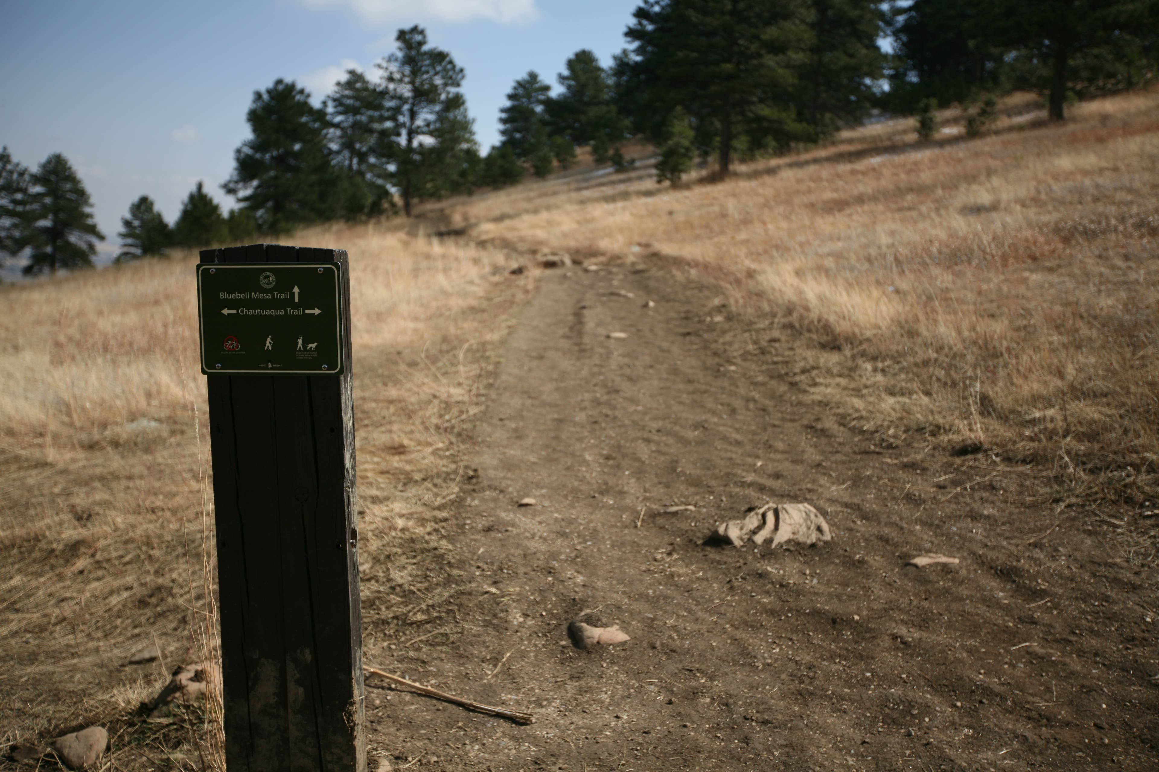 Bluebell Mesa Trail None