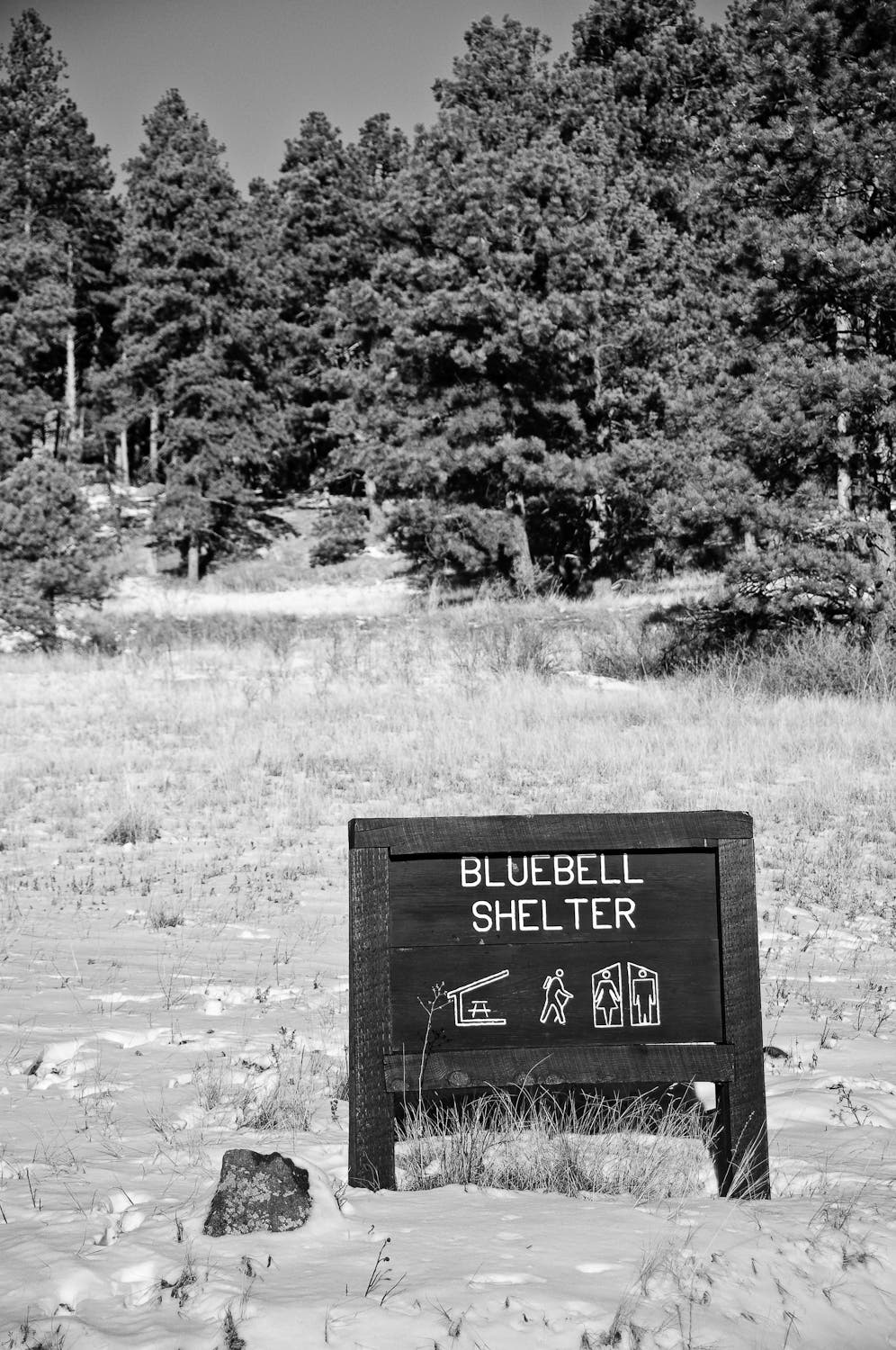 Bluebell Shelter sign along the side of the trail. Bluebell Shelter sign on the side of the trail.