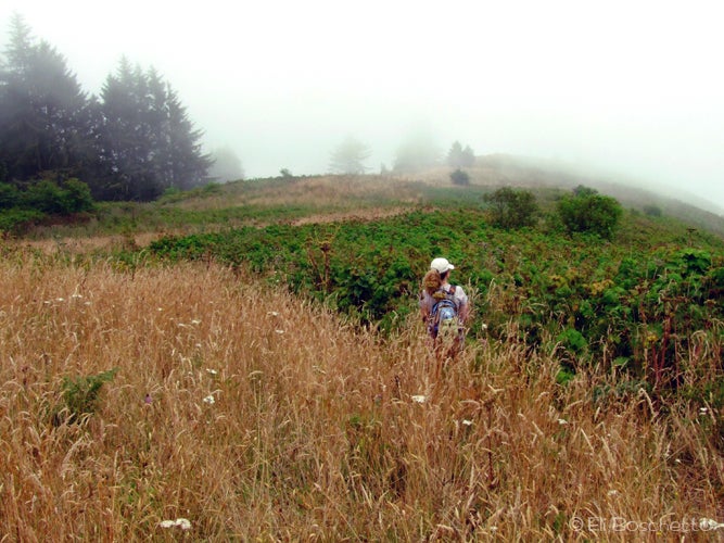 Bluff Meadow None