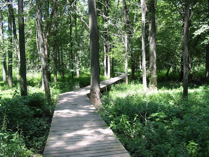 Boardwalk None