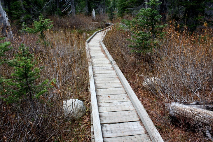 Boardwalk None