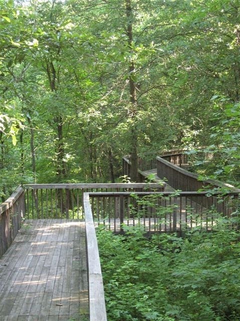 Boardwalk None