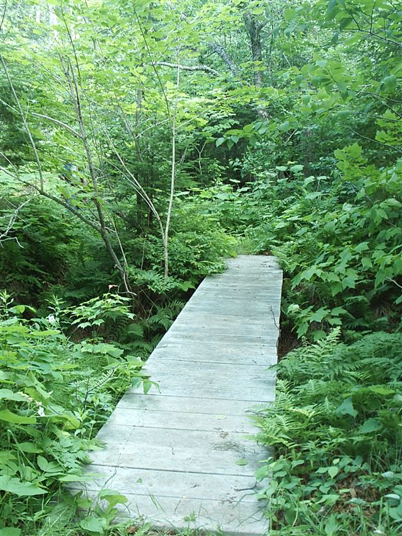 Boardwalk None