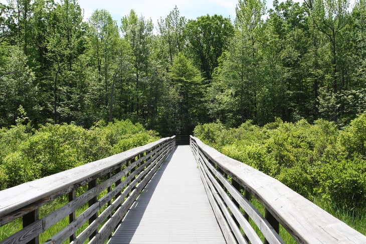 Boardwalk None