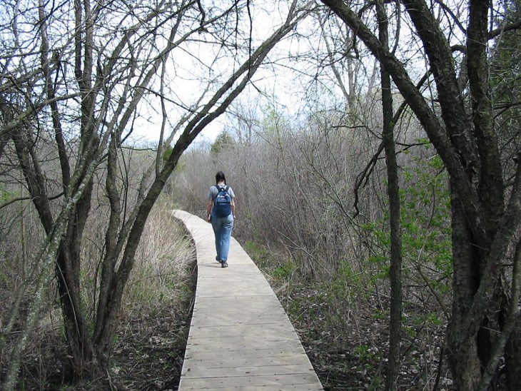 Boardwalk None