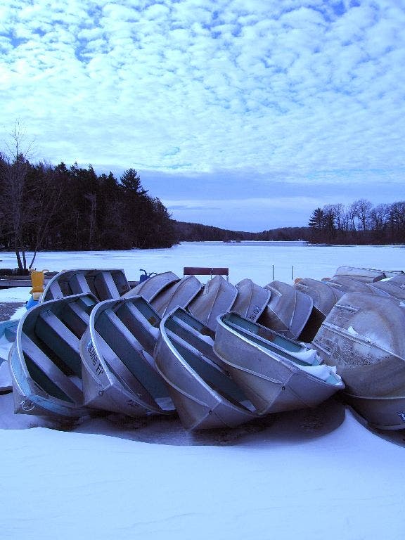 Boat Hibernation None