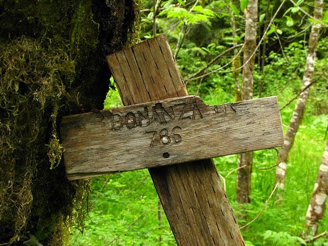 Bonanza Trailhead None