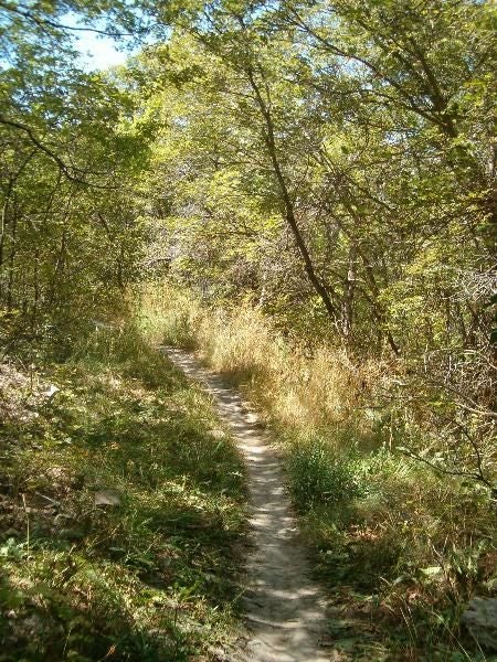 Bonneville Trail None