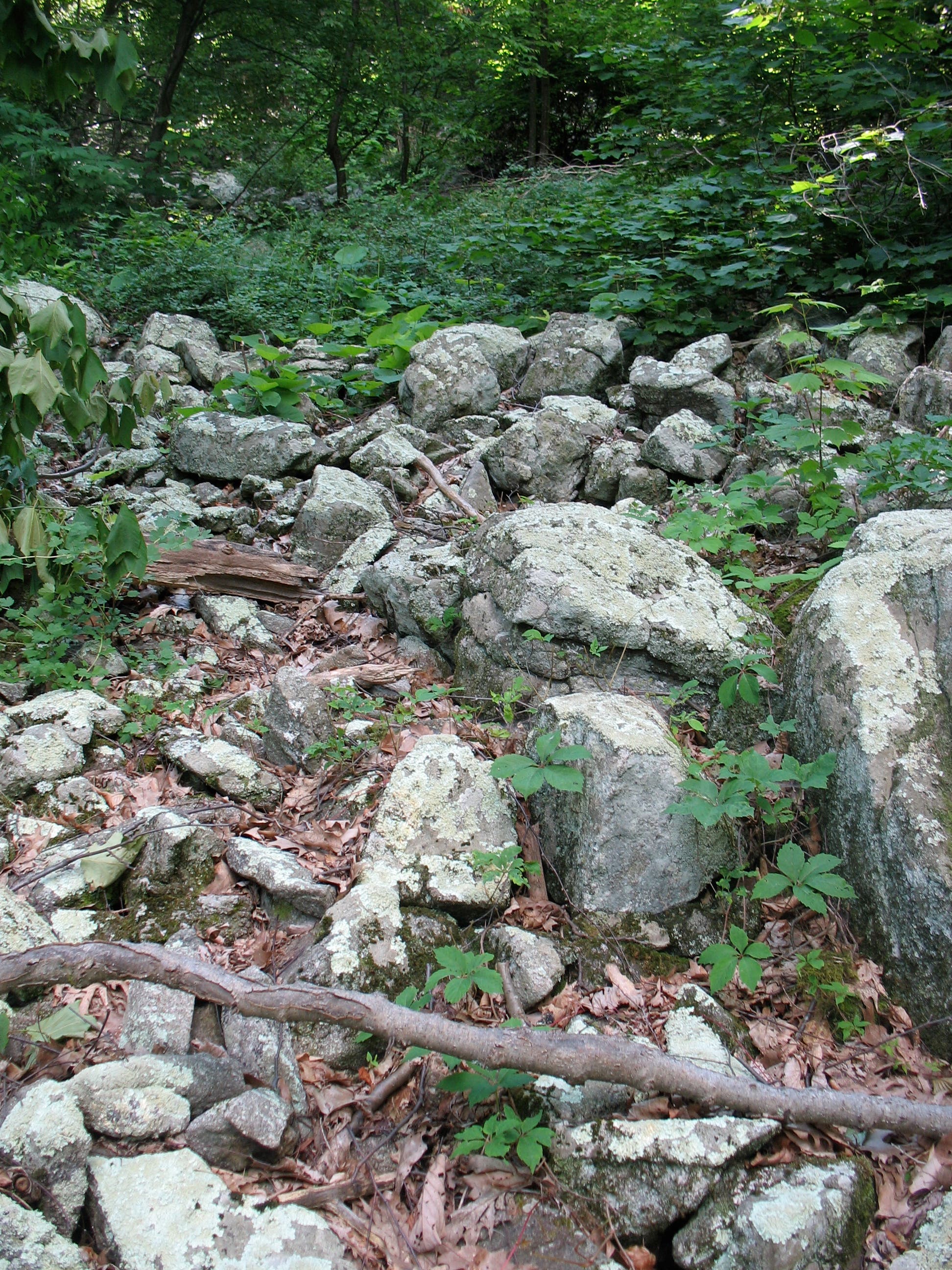 Boulder Cascade None