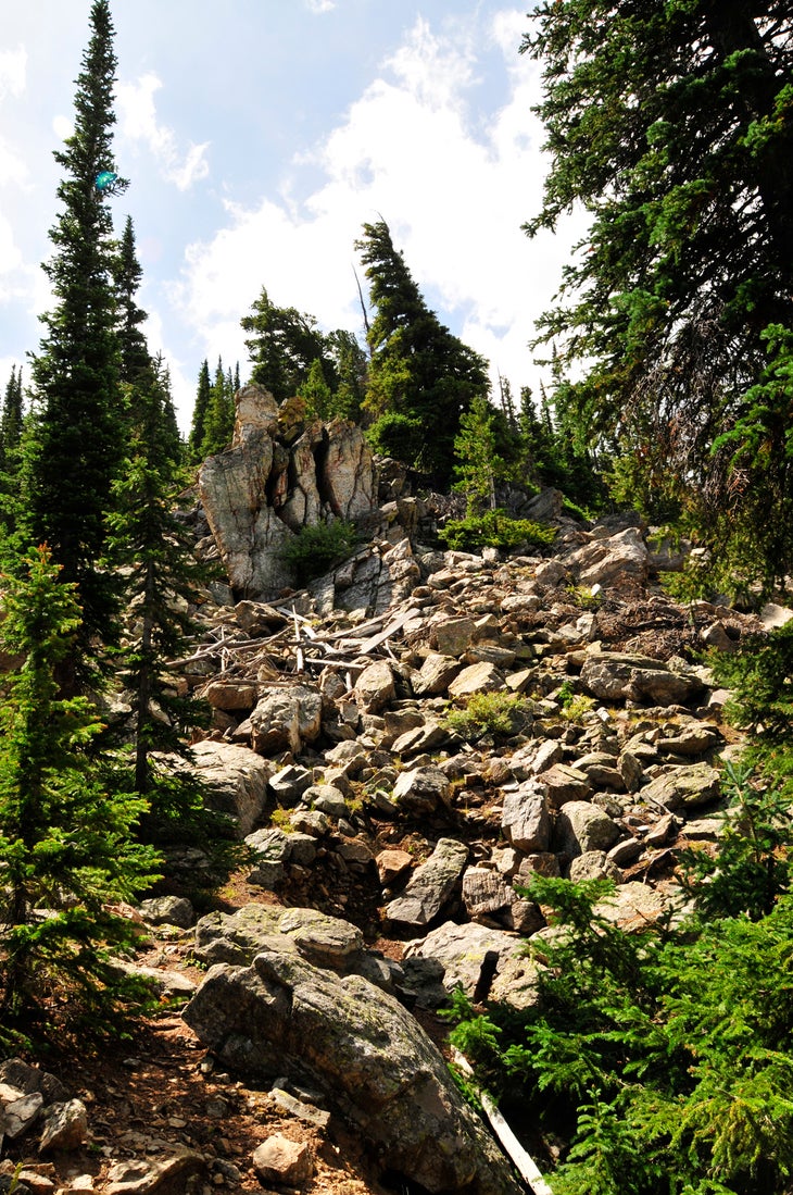 Boulder Field None