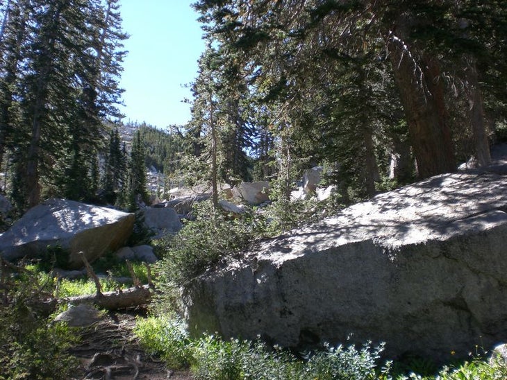 Boulder Field None