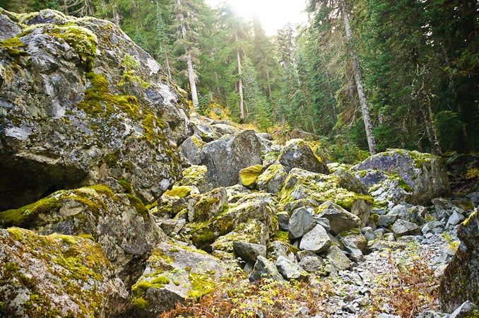 Boulder Field None