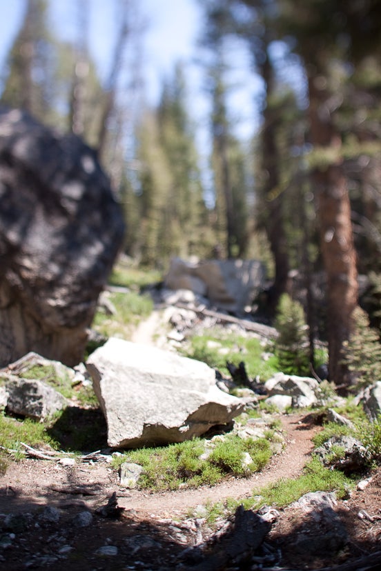 Boulder Field None