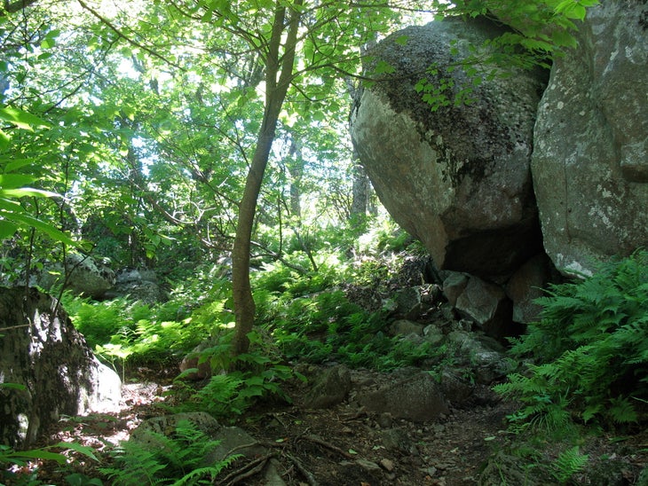 Boulder Grove None