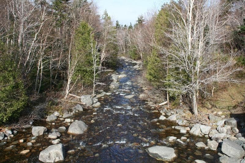 Boulder-laden brook None