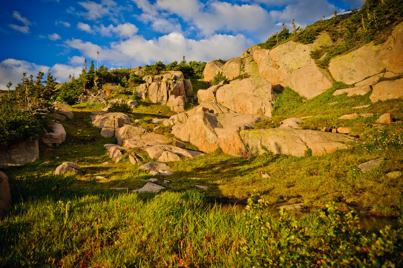 Boulders below Arrowhead Lake None