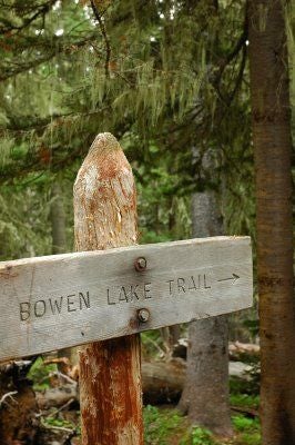 Bowen Lake Trail None
