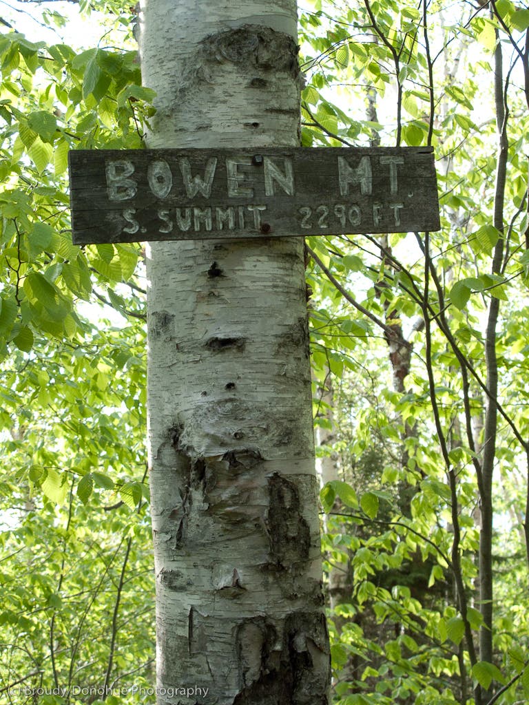 Bowen's South Summit None