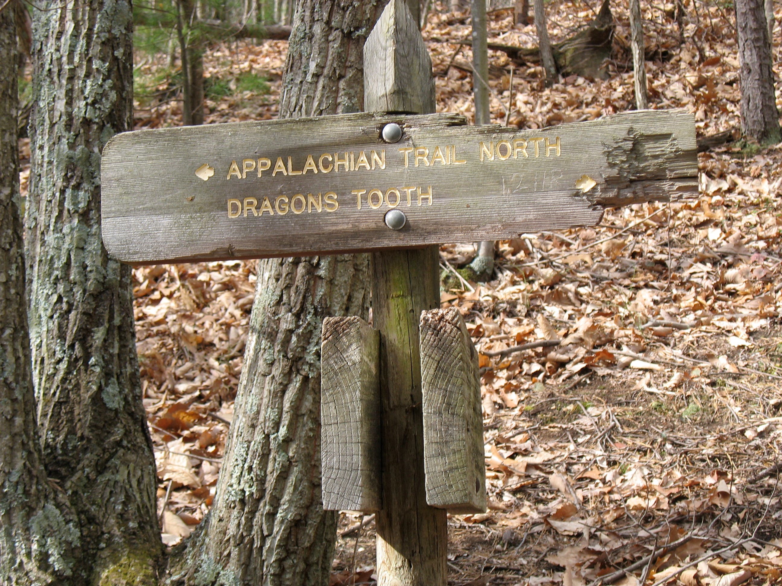 Boy Scout Connector and AT Junction None