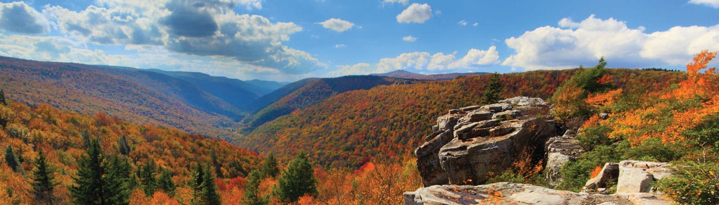 West Virginia - Red Creek Canyon, Dolly Sods Wilderness