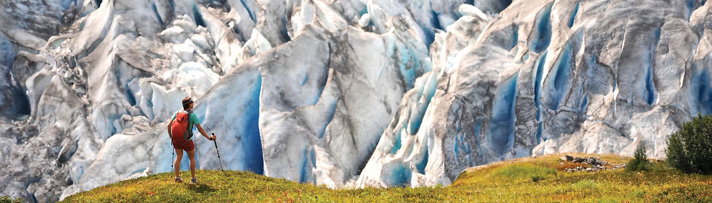 Alaska - Harding Icefield, Kenai Fjords NP