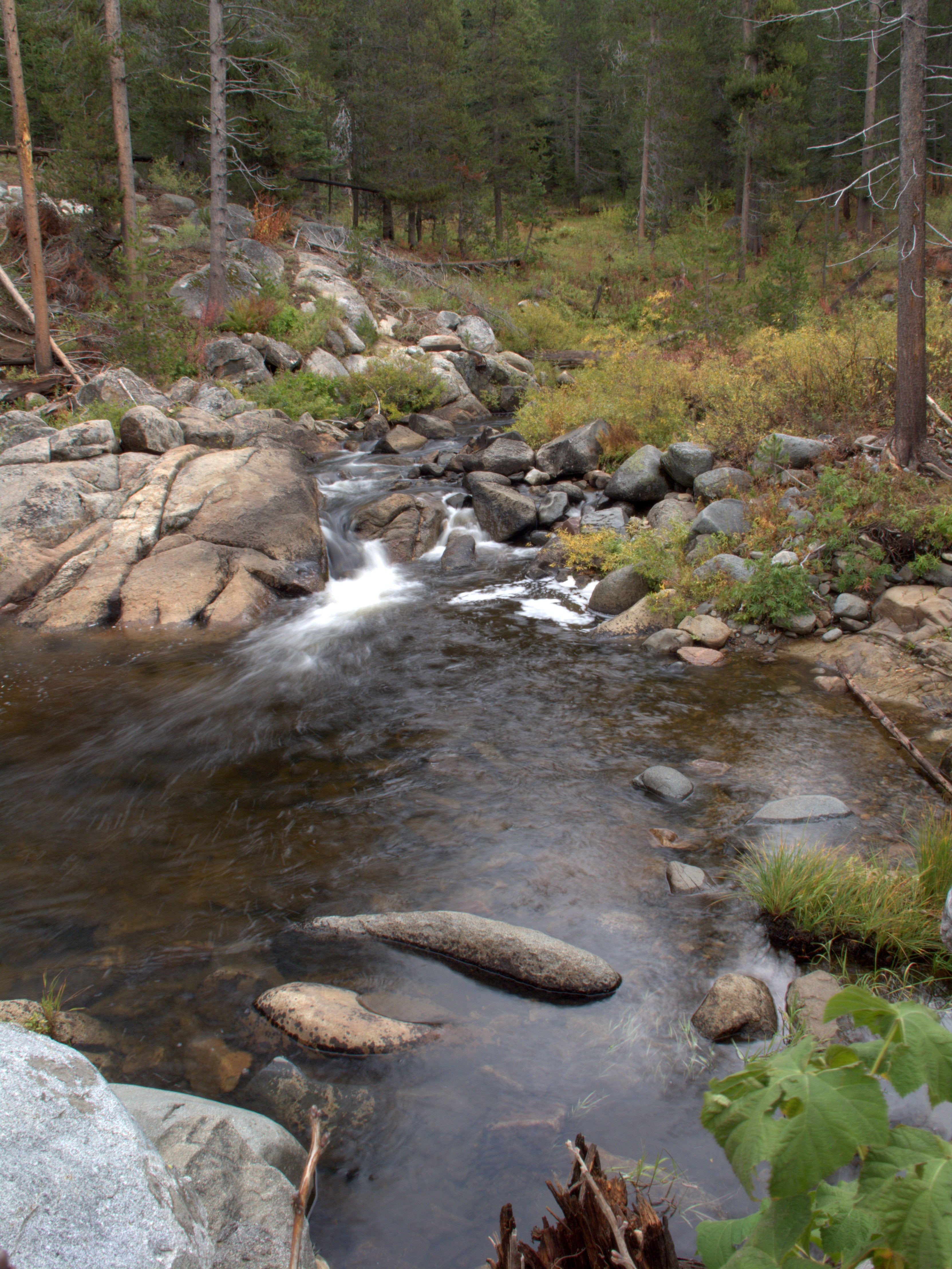 Bridalveil shop creek trail