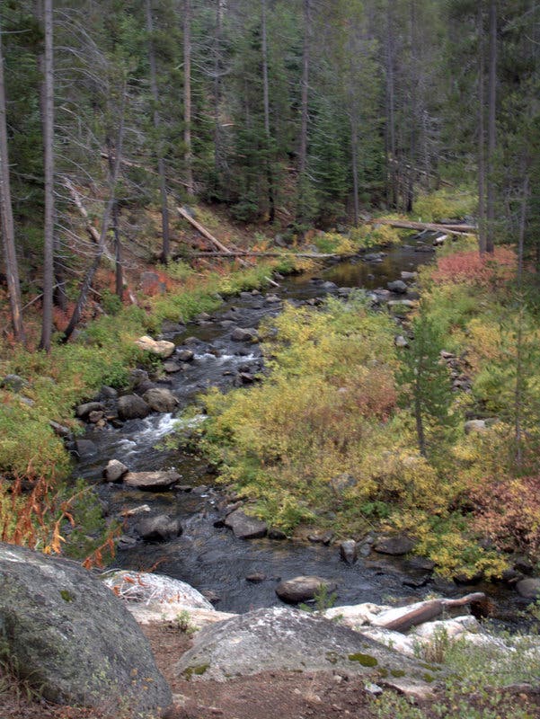 Bridalveil Creek None