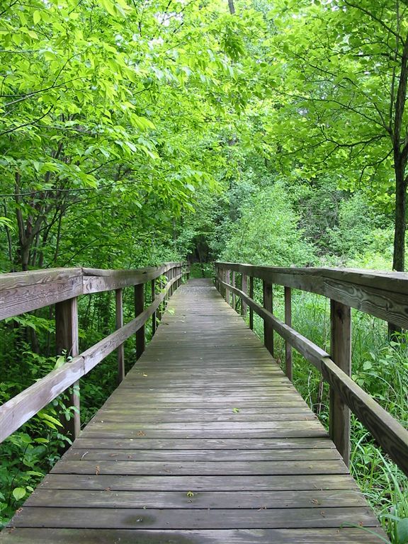 Bridge None