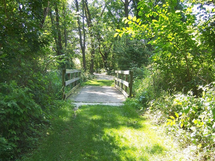 Bridge None
