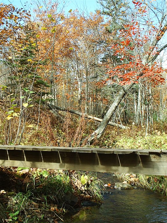 Bridge None