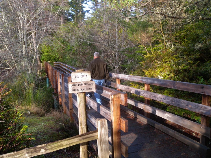 Bridge None