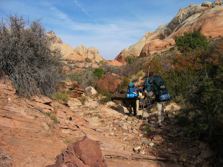 Bridge Canyon None