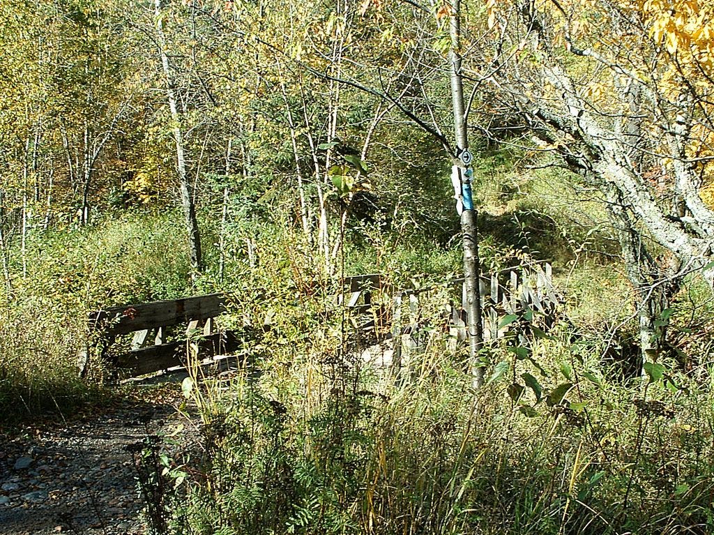 Bridge crossing None