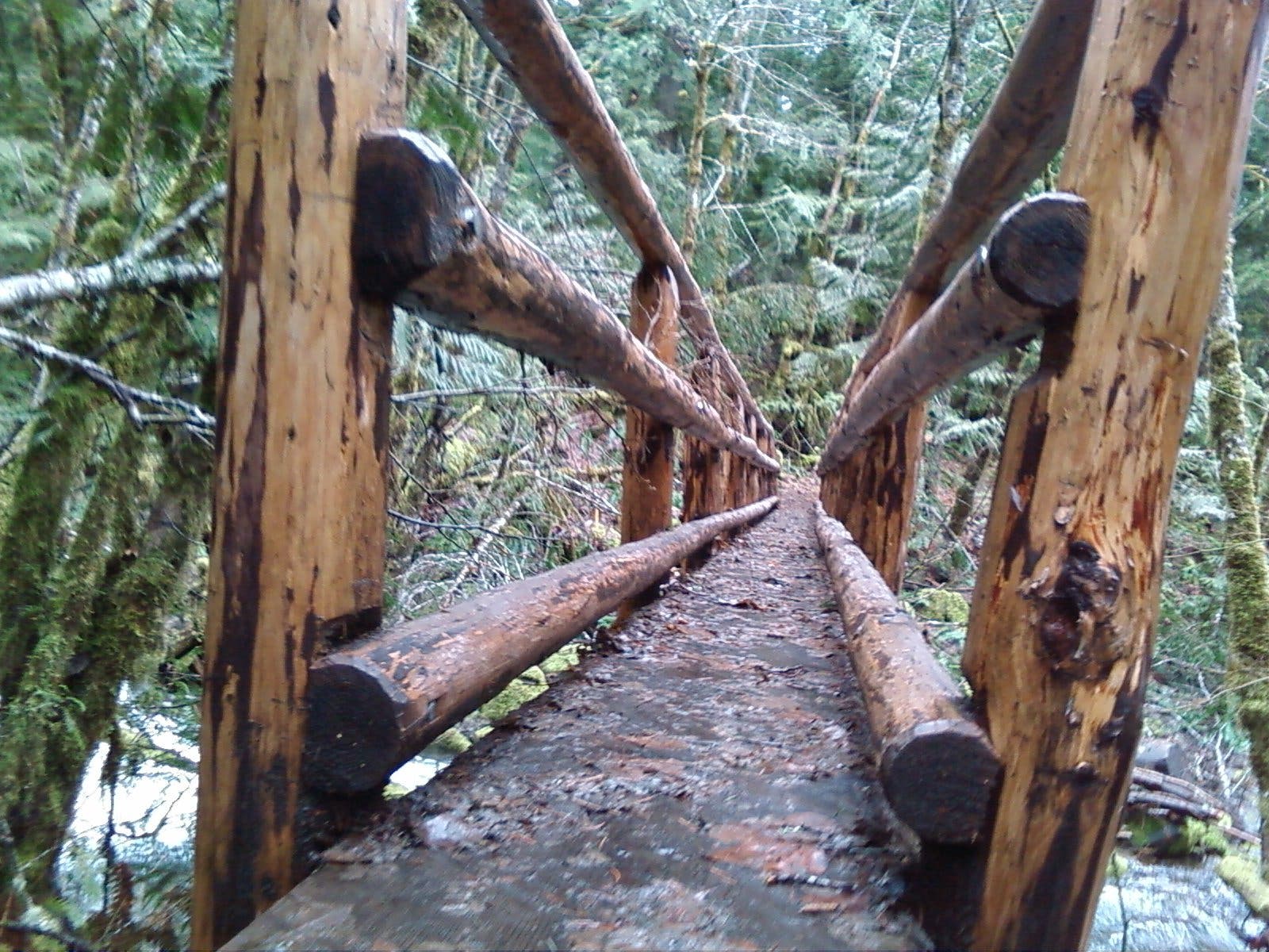 Bridge Crossing None