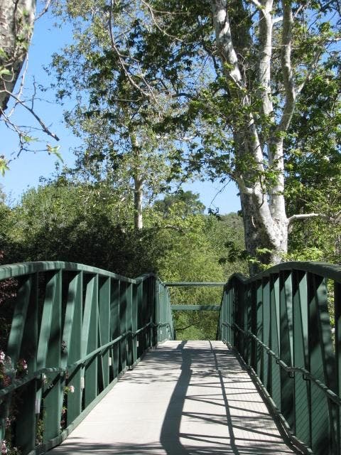 Bridge Crossing None