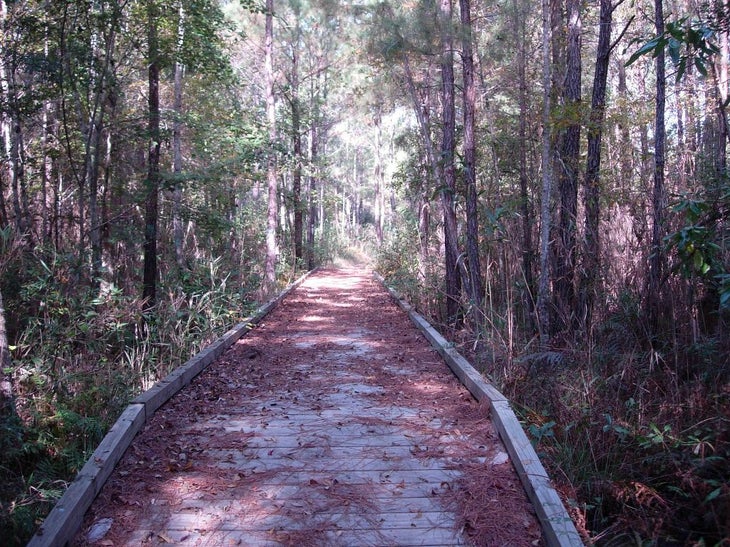 Bridge Near Trailhead None
