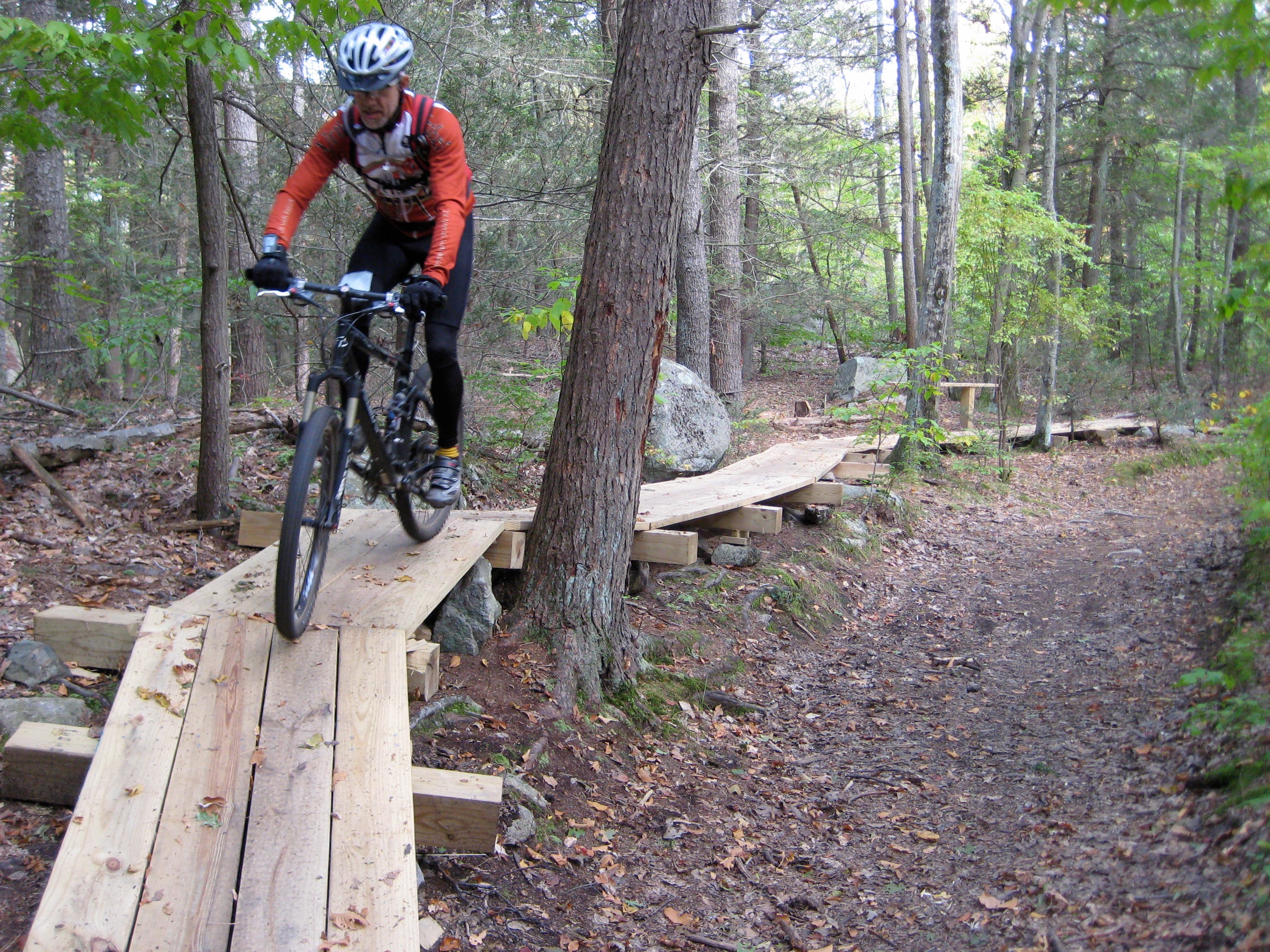 Bridge of Virtue None